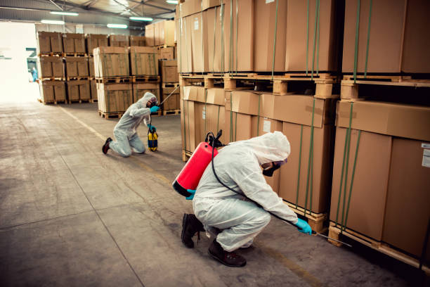 Best Bed Bug Extermination  in Shady Side, MD