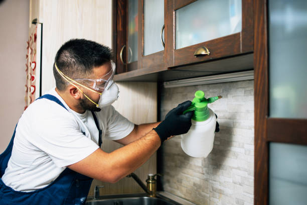 Best Residential Pest Control  in Shady Side, MD