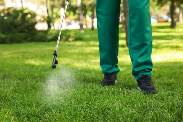 Insect Control in Shady Side, MD